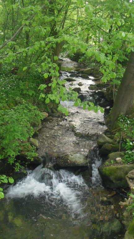 Chaty Pod Sokolim Hrbetem Česká Ves Extérieur photo