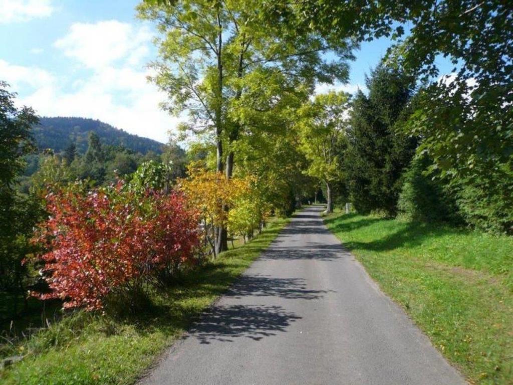 Chaty Pod Sokolim Hrbetem Česká Ves Extérieur photo